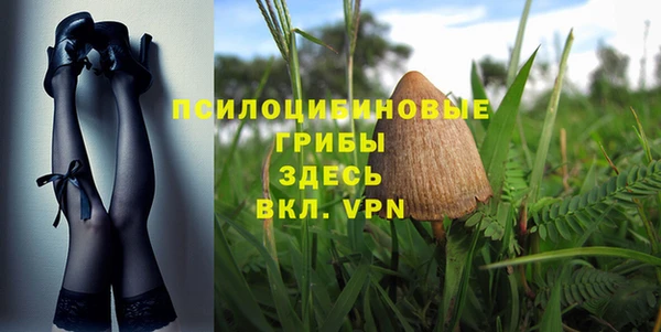бутират Бородино