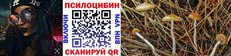 Галлюциногенные грибы мицелий  наркота  Гай 