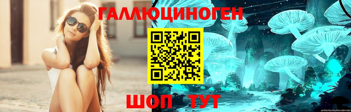 Псилоцибиновые грибы мицелий Гай